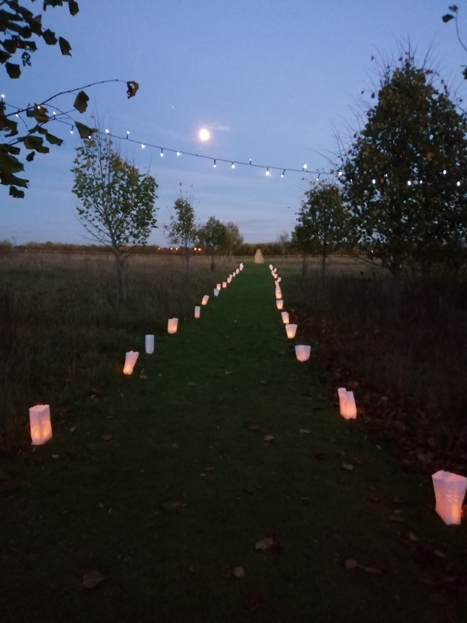 Avenue lights lanterns night